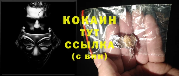 соль ск Шали