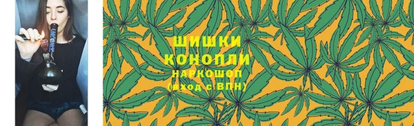 хмурый Бердск