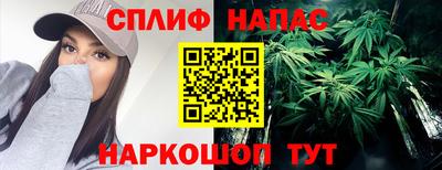 сатива Апшеронск