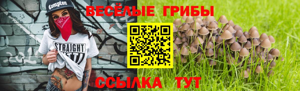 Псилоцибиновые грибы MAGIC MUSHROOMS Владивосток