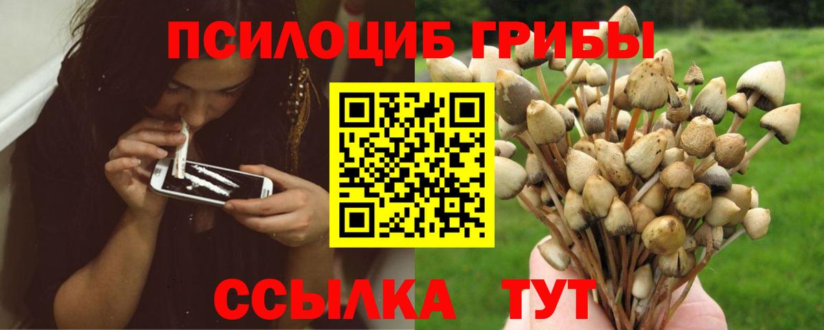 Галлюциногенные грибы Psilocybine cubensis  Вход с VPN  Владивосток 