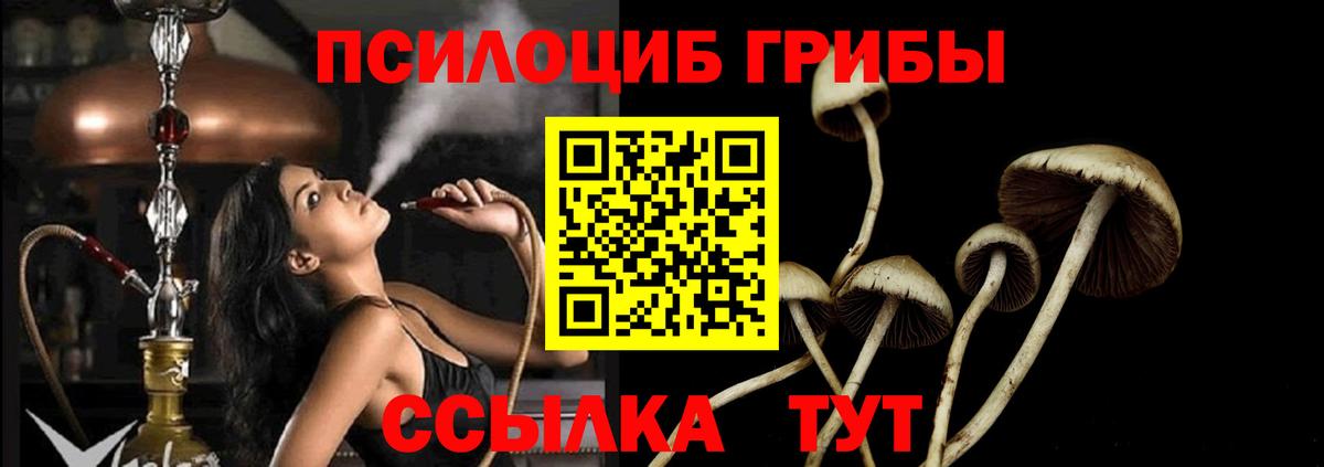 Мефедрон кристаллы  Alpha-PVP СОЛЬ кристаллы  Cocaine  ГАШ  Вход с VPN  Владивосток  Конопля 